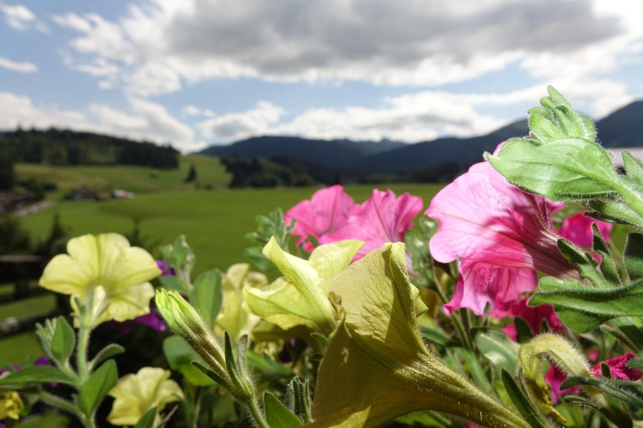 Atelierhaus Ferienwohnungen Fischen im Allgaeu Bagian luar foto